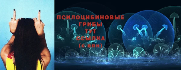 гидропоника Каменногорск