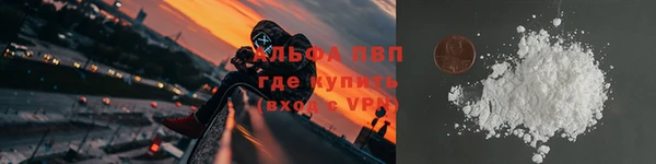 тгк Инта