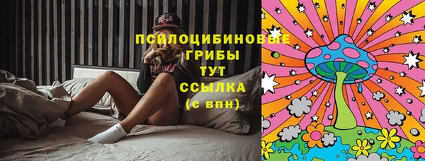 шишки Каменск-Шахтинский