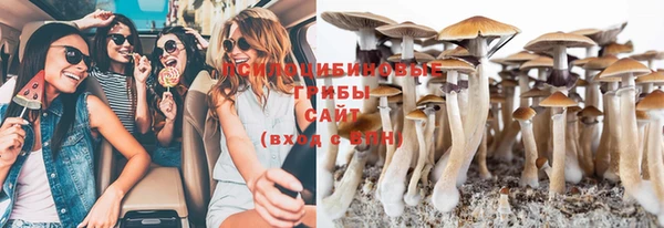 трава Иннополис