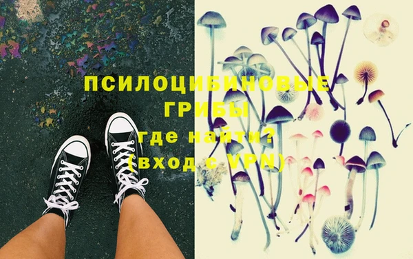 гидропоника Каменногорск