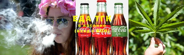 тгк Инта