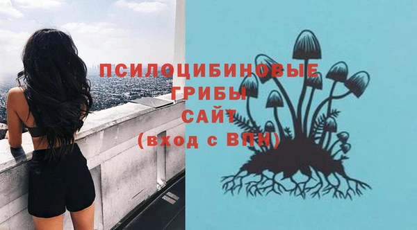 трава Иннополис