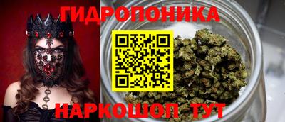 стаф Заволжье