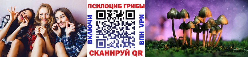Псилоцибиновые грибы GOLDEN TEACHER  Славгород 