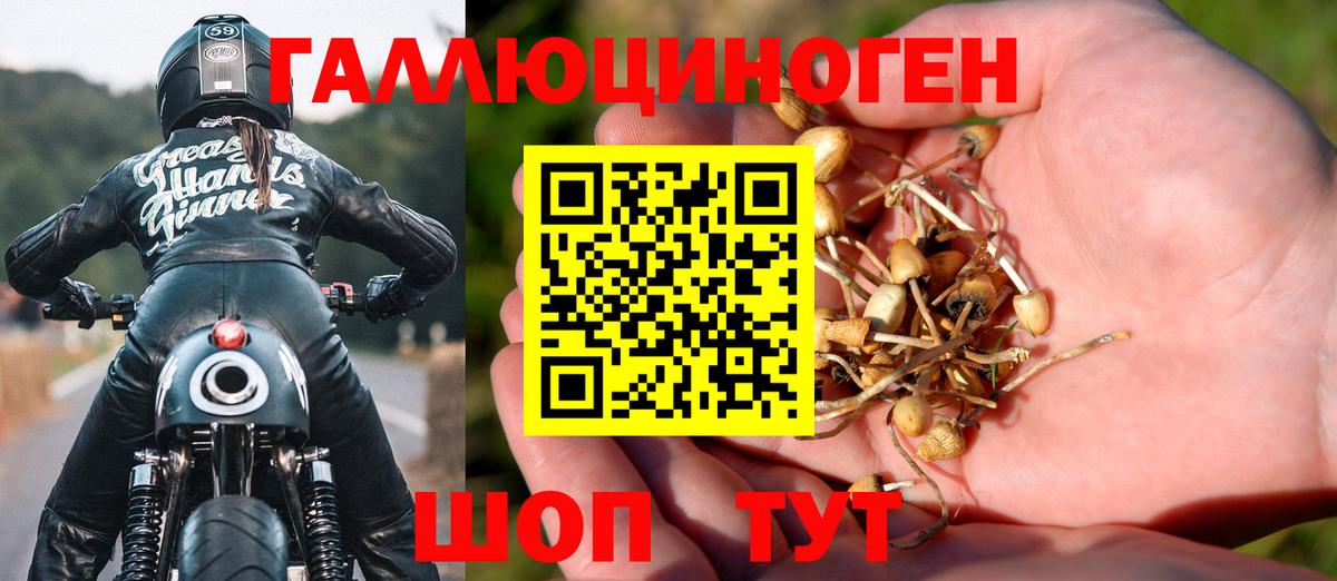 Галлюциногенные грибы прущие грибы Славгород
