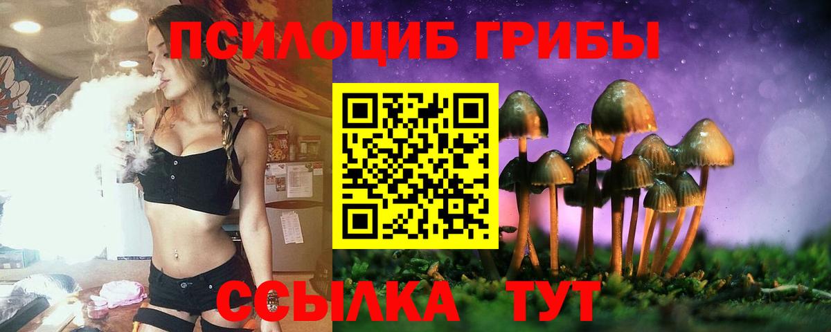 Славгород  Псилоцибиновые грибы GOLDEN TEACHER  Вход с VPN 