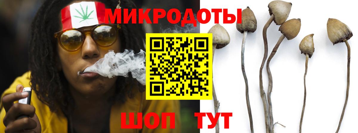 Псилоцибиновые грибы GOLDEN TEACHER  Славгород 